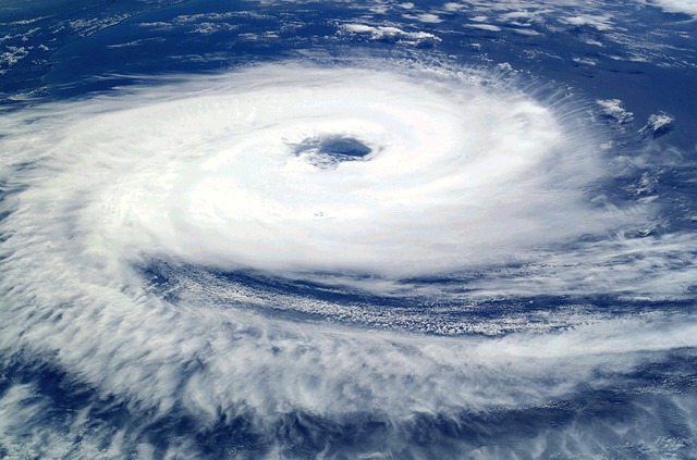 Hurricane Prep Guide